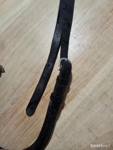 Equitation - Croupière - photo 5