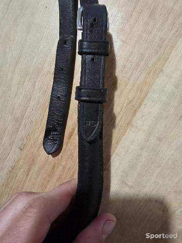 Equitation - Croupière - photo 5