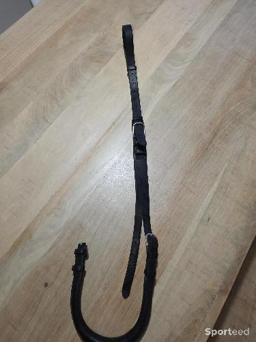 Equitation - Croupière - photo 5