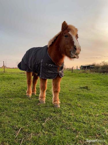 Equitation - Couverture imperméable 0g - photo 3