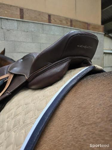 Equitation - Selle fouganza 17.5 - photo 6