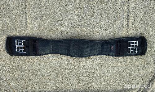 Sangle Court Dressage Airoform Thorowgood