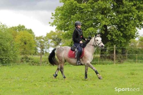 Equitation - Air bag spark 2 taille s + quatre cartouches  - photo 6