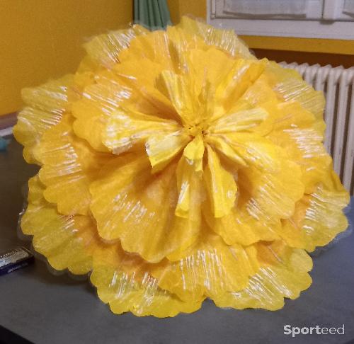 Danse classique - Tenue de danse - photo 4