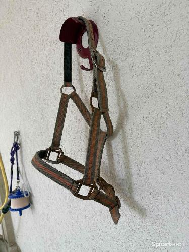 Equitation - Licols COB  - photo 4