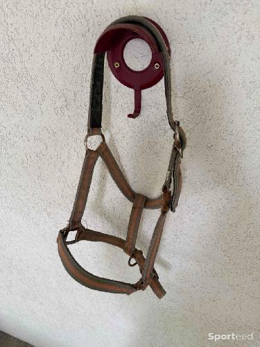 Equitation - Licols COB  - photo 4