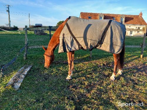 Equitation - chemise grise décathlon - photo 3