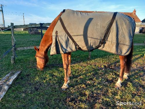 Equitation - chemise grise décathlon - photo 3