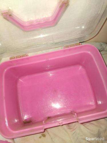 Boîte de pansage enfant