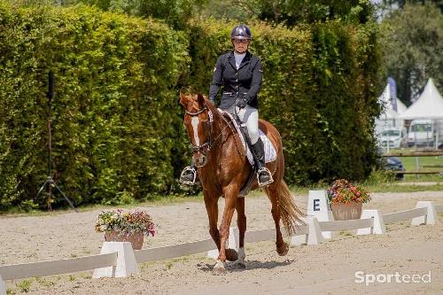 Equitation - Veste de concours - photo 6