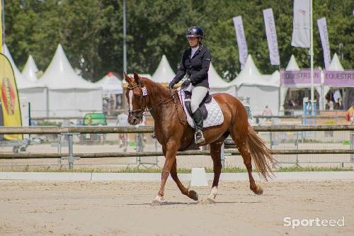 Equitation - Veste de concours - photo 6