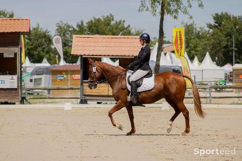 Equitation - Veste de concours - photo 6