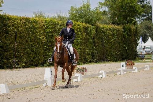 Equitation - Veste de concours - photo 6