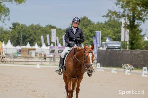 Equitation - Veste de concours - photo 6