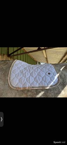 Equitation - Tapis dressage blanc - photo 3