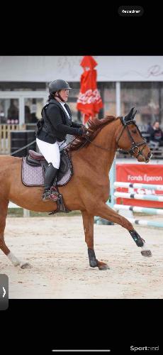 Equitation - Tapis cso anna scarpati  - photo 3