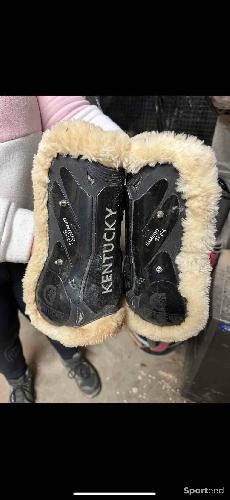 Protection mouton kentucky