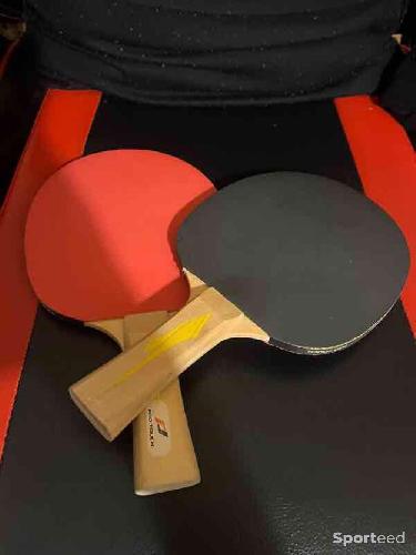 2 Raquettes de ping pong