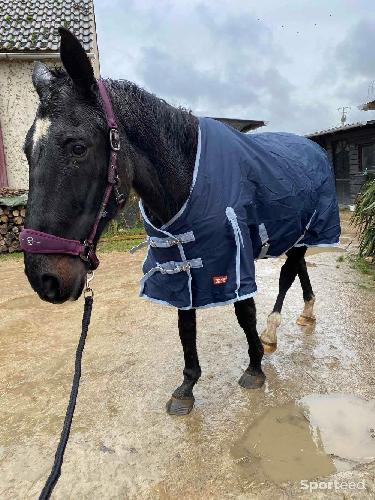 Equitation - Licole  - photo 3