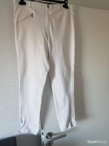 Pantalons equitation