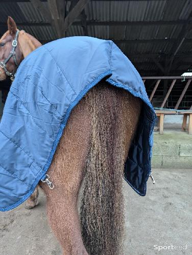 Equitation - Couverture liner - photo 4