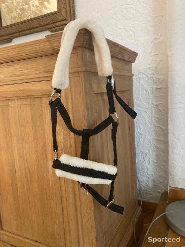 Equitation - Licol moumoute poulain /mini shetland  - photo 6
