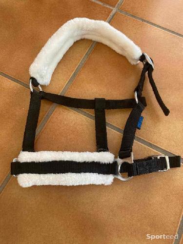 Equitation - Licol moumoute poulain /mini shetland  - photo 6