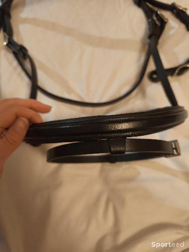 Equitation - Filet noir fouganza  - photo 5