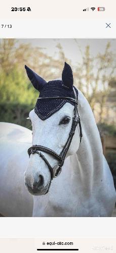 Equitation - Tapis Pénélope et bonnet  - photo 3