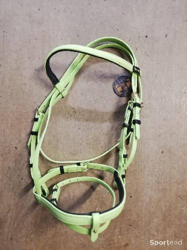 Bridon biotack NEUF vert poney
