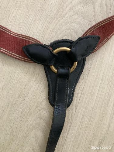 Equitation - Collier de chasse, taille Cob - photo 6