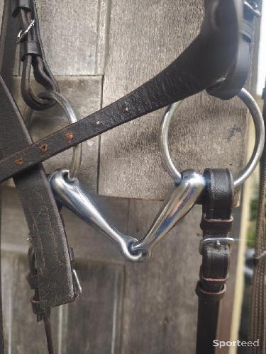 Equitation - Filet neuf taille full avec mors 125mm - photo 4