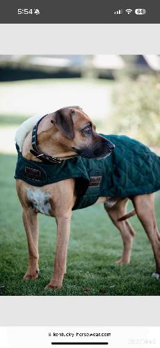 Equitation - Manteau pour Chien Kentucky  - photo 5