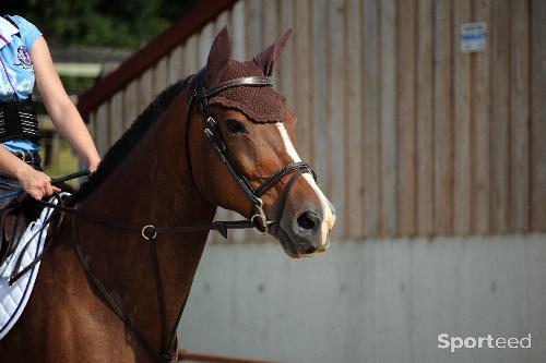 Equitation - Bonnet Equiline marron t. Cheval - photo 4