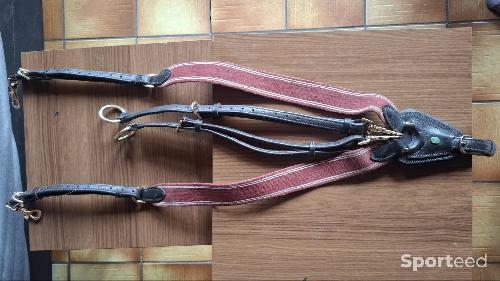 Equitation - Collier de chasse avec martingale  - photo 6