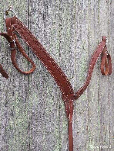 Equitation - Collier de chasse  - photo 4