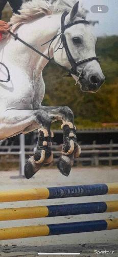 Equitation - Guêtres Marron Taille Cheval avec Doublure en Moumoute de Mouton - photo 3