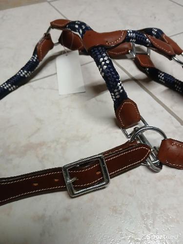 Equitation - Licol bleu marine cuir marron neuf - photo 3