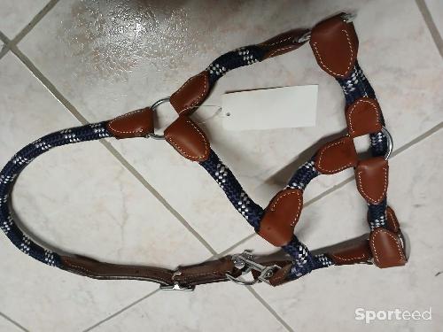 Equitation - Licol bleu marine cuir marron neuf - photo 3