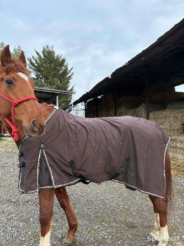 Equitation - Couverture cheval  - photo 4