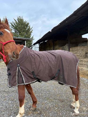 Equitation - Couverture cheval  - photo 4