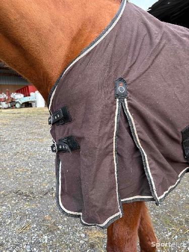 Equitation - Couverture cheval  - photo 4