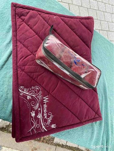 Ensemble  bordeaux cheval 