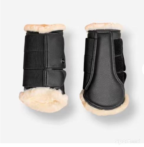 Protections de dressage 