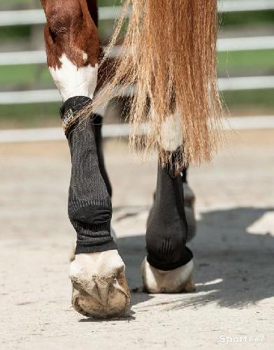 Equitation - Bandes de compression Ceramic Rehab pour postérieurs - photo 6