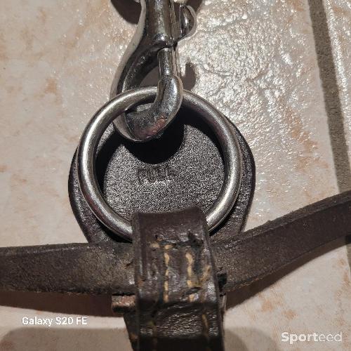 Equitation - Collier de chasse 5 points d'attaches taille cheval  - photo 6