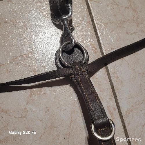 Equitation - Collier de chasse 5 points d'attaches taille cheval  - photo 6