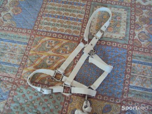 Equitation - licol nylon + corde coton - taille Full - cheval - photo 5