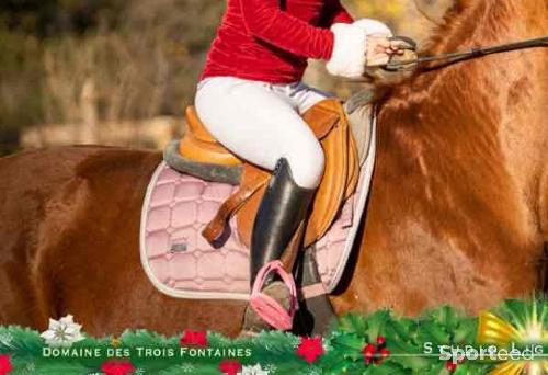 Equitation - Tapis de selle Félix bülher  - photo 6