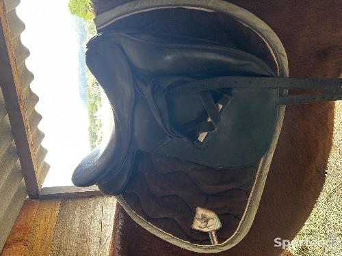 Equitation - Selle dressage Stubben Maestoso de luxe  - photo 4